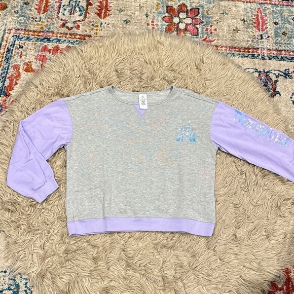 Disneyland metallic purple sweatshirt size XL - Picture 1 of 4